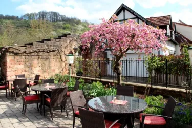 Gartenterrasse im Frühling