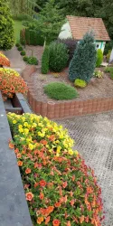 Blick in den Garten