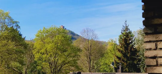 Blick auf die Burg Trifels