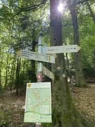 Wegweiser am Parkplatz (© Verein SÜW Annweiler e.V.)