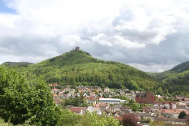 Scheffelweg (© Verein SÜW Annweiler e.V.)