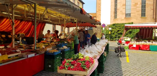 Wochenmarkt (© Verein SÜW Annweiler e.V.)
