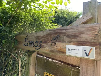 Stall in Annweiler-Bindersbach (© Verein SÜW Annweiler e.V.)