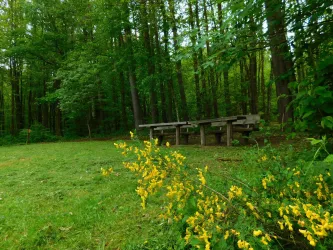 Picknickplatz_2 (© Verein SÜW Annweiler e.V.)