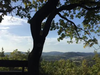 Ausblick Wasgaublick (© Verein SÜW Annweiler e.V.)