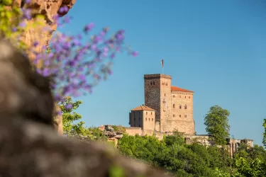 Burg Trifels (© Verein SÜW Annweiler e.V., Dominik Ketz)