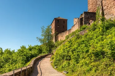 Burg Trifels II (© Verein SÜW Annweiler e.V., Dominik Ketz)