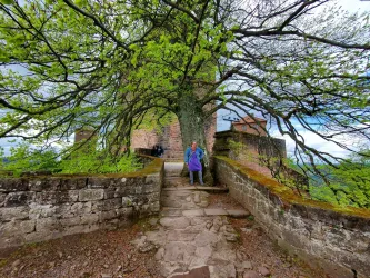 Marina Mandery Burg Trifels (© Marina Mandery)