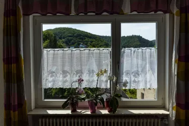 Blick aus dem Wohnzimmer (© Ferienwohnung am Klingelberg)