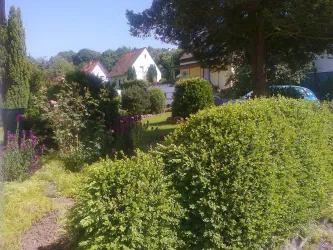 Garten vor dem Haus