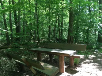 Picknickplatz Tisch Bank 2 (© Verein SÜW Annweiler e.V.)