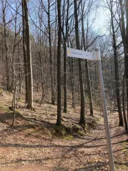 Wegweiser (© Verein SÜW Annweiler e.V.)