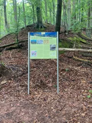 Infotafel Steinbrüche (© Verein SÜW Annweiler e.V.)