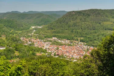 Ausblick Station Stadtansichten (© Verein SÜW Annweiler e.V., Dominik Ketz)