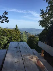 Picknickplatz am Rehbergturm (© Verein SÜW Annweiler am Trifels e.V.)