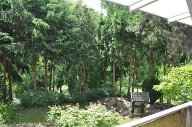 Blick in den Garten und die Natur
