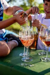 Wein (© Weingut Beck)
