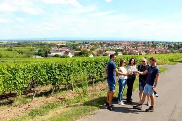 Weinbergswanderung (© Weingut Weber)