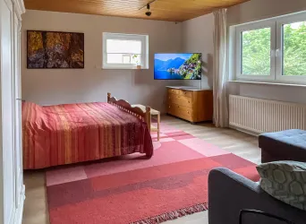 Wohn-Schlafzimmer