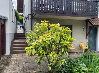 Eingang mit Treppe