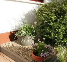 Gemütlicher Garten (© Klaus Tscheres)