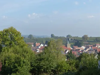 Blick aus dem Garten (© Klaus Tscheres)