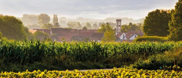 Oberhausen2 (© Archiv Tourismusverein SÜW Bad Bergzabern e.V.)