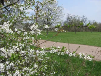 Dem Frühling auf der Spur