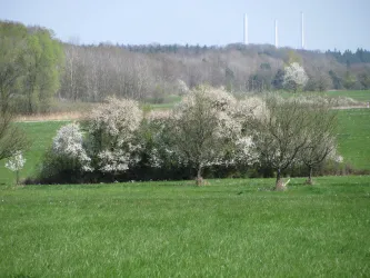 Dem Frühling auf der Spur