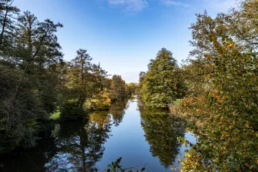 Bienwald - gespiegelte Bäume im Wasser