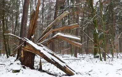 Vom Winter verweht (© Heridrun Knoch)