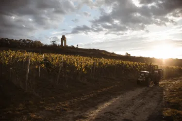 Weinlage Schwarzer Herrgott