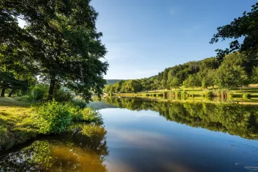 Silzer See (© Verein SÜW Annweiler e.V.,Dominik Ketz)