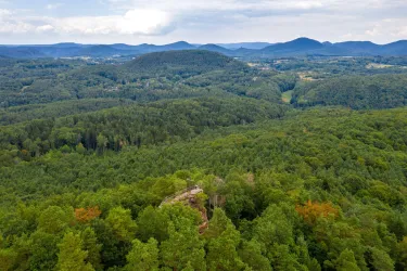 Schweinsfelsen von oben (© Verein SÜW Annweiler, Foto: Dominik Ketz)