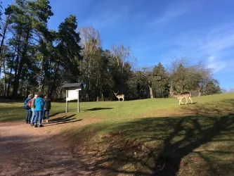 Parkrunde (© Verein SÜW Annweiler e.V.)