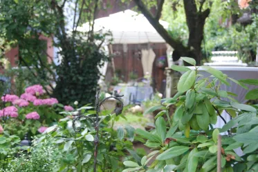 Blick aus dem Garten zum Innenhof mit Pavillon (© Schönbachhof-pfalz.de)