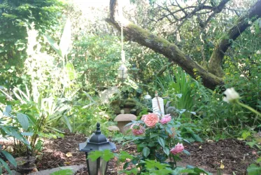 Blick aus blauem Zimmer in den Garten (© Schönbachhof-pfalz.de)