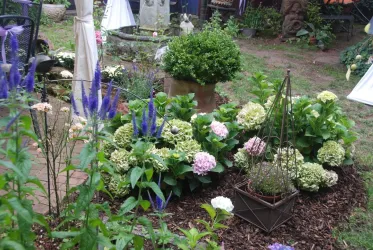 Blumengarten mit Gartenbrunnen (© Schönbachhof-pfalz.de)