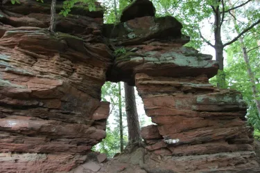 Kellerfelsen (© Archiv Verein SÜW Annweiler e.V.)