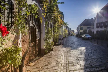 Rhodt (© Verein SÜW Edenkoben)