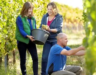 Familie Heussler im Weinberg (© Oliver Götz)