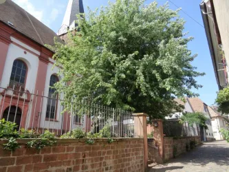Außsicht zur Kirche (© Fam. Silberbauer)