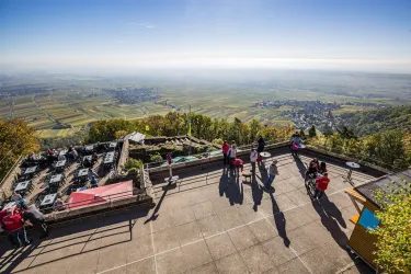 Ausblick (© Verein SÜW Edenkoben, T. Kujat)