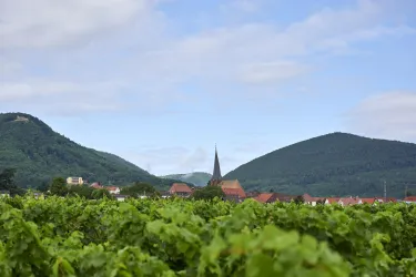 stmeyer_byernst2019_DSC7163