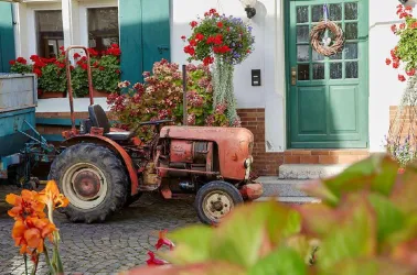Hausansicht, Ferienwohnung (© Weingut Stefan Meyer)