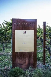 Ältester Weinberg (© Verein SÜW Edenkoben, T. Kujat)