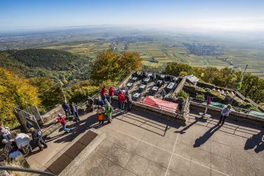 Rietburg Aussicht (© Verein SÜW Edenkoben, T. Kujat)