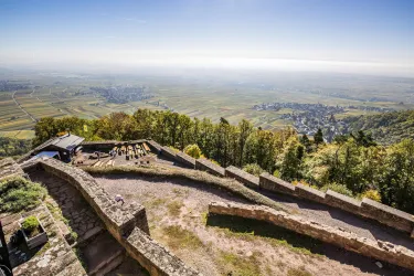 Ruine Rietburg (© Verein SÜW Edenkoben, T. Kujat)