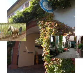 Weingut Christian Heussler (© Weingut Christian Heussler)