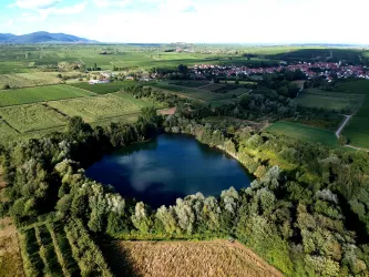 Luftaufnahme Biotopweiher Alte Tongrube